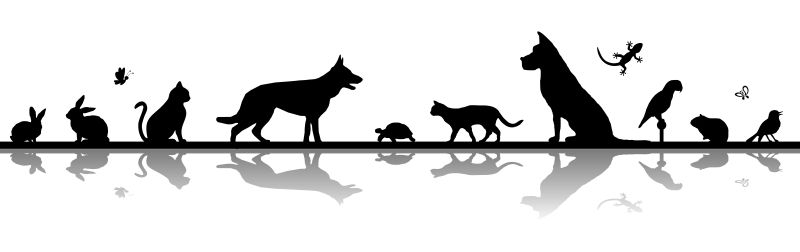 Silhouetten verschiedener Haustiere – Trauerfeier und Tierbestattung