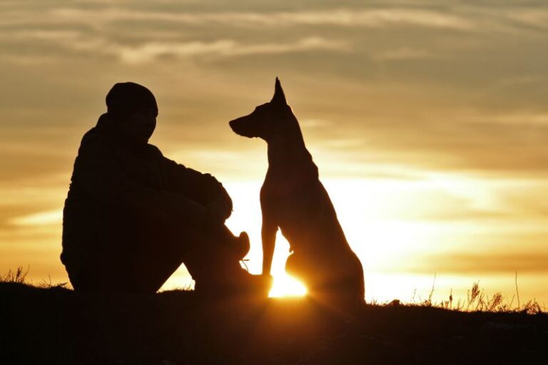 Mensch und Hund im Gegenlicht beim Abschied – Tierverabschiedung, Abschiedsrede